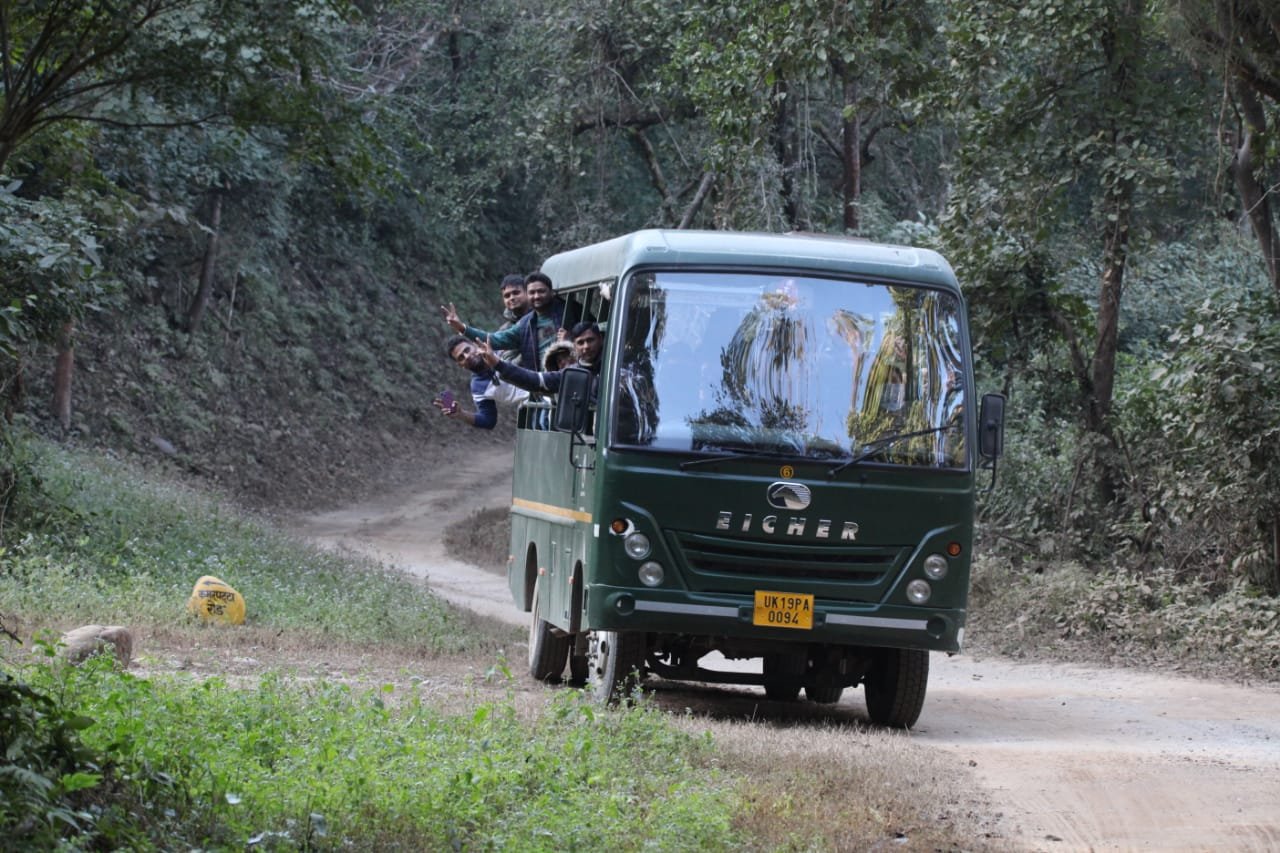 Canter safari experience in Dhikala