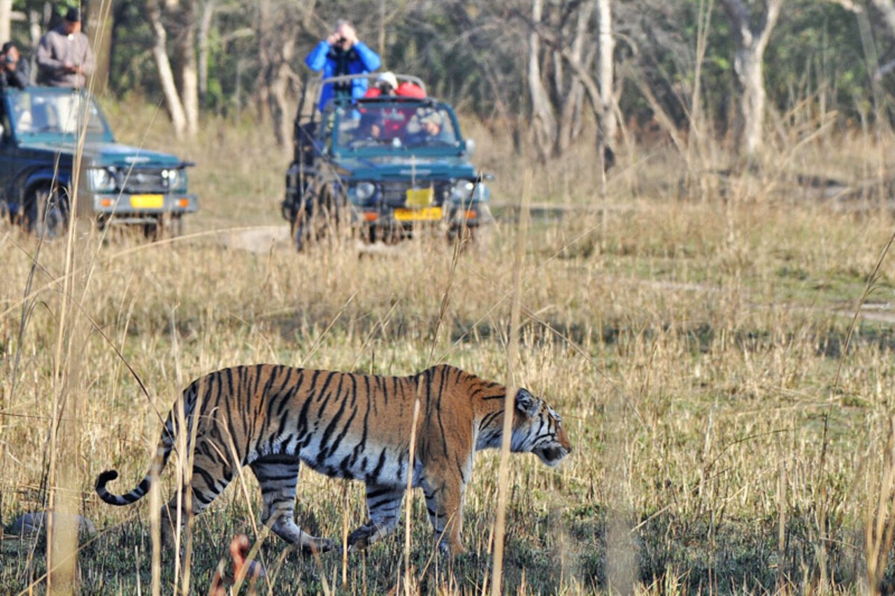 Jeep safari in the Corbett forest