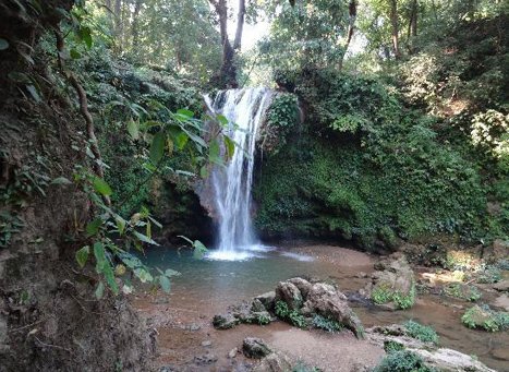 Corbett Waterfall surrounded by greenery